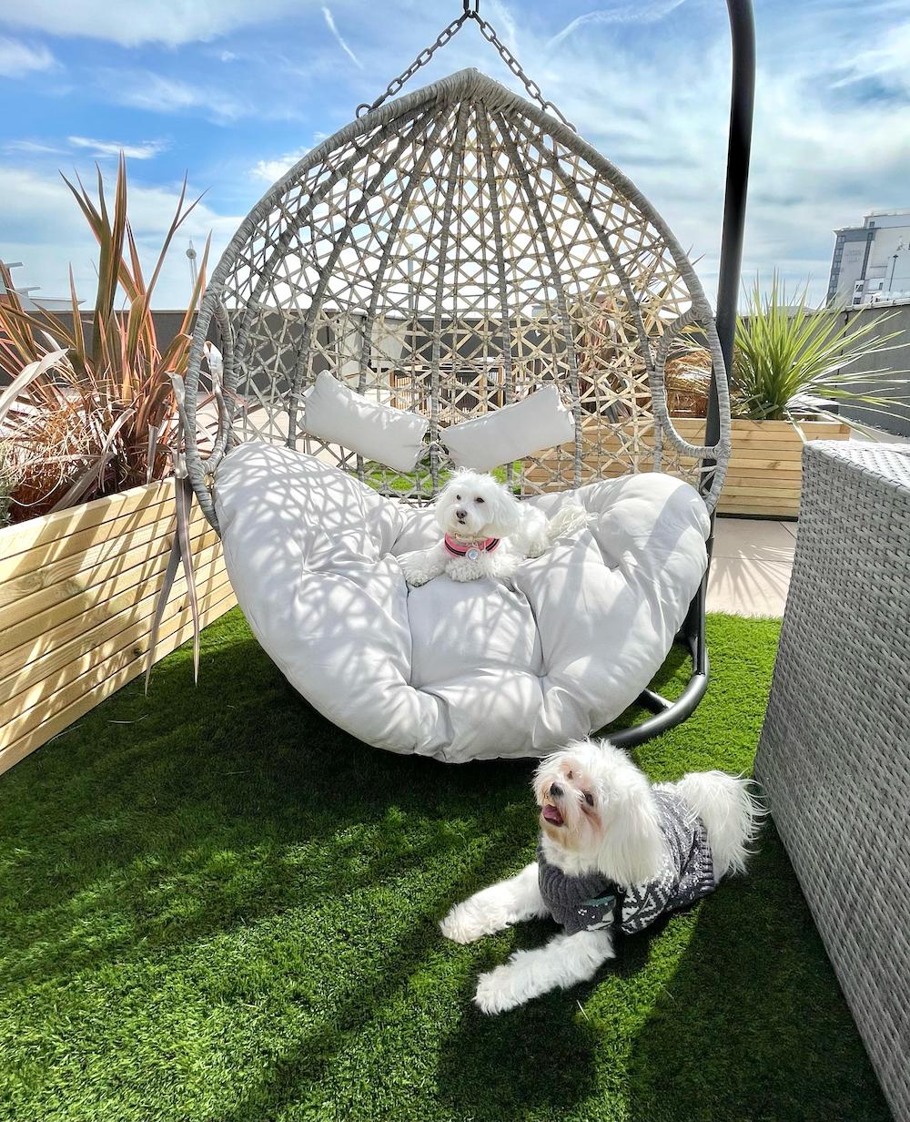 PET FRIENDLY